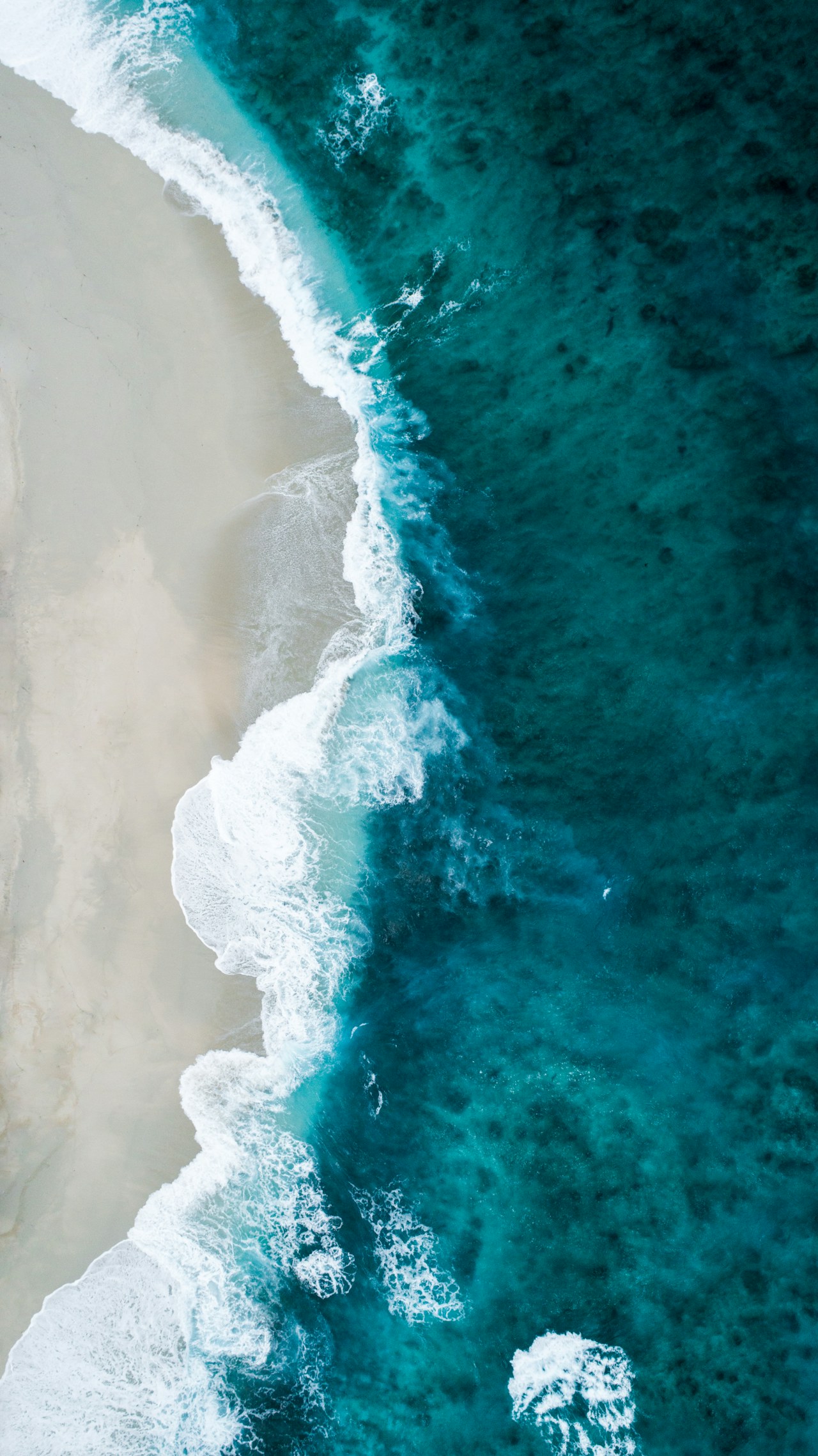 A breaking ocean wave catching the light, seen from close to the water.